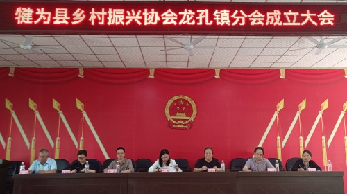 犍为县乡村振兴协会龙孔镇分会正式成立